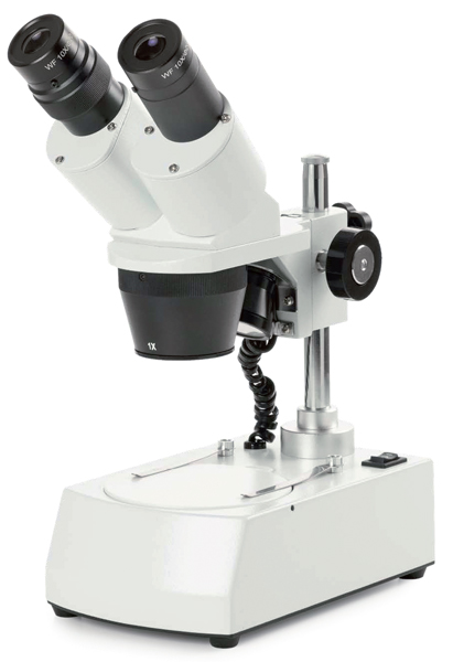 Stero Microscopio
